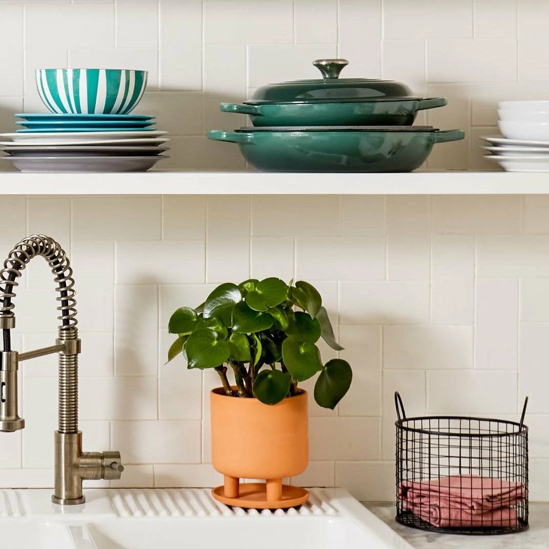 Le Creuset 3.5 Qt. Signature Braiser With Stainless Steel Knob | Artichaut 6 Le Creuset 3.5 Qt. Signature Braiser With Stainless Steel Knob | Artichaut - Image 4